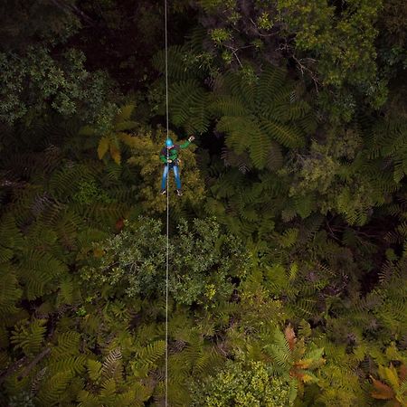 Coromandel TOP 10 Holiday Park Exterior foto